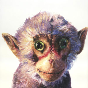 Portrait of an Stuffed Toy Monkey